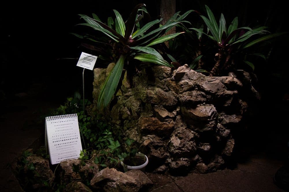 Повседневные эпизоды, 2020