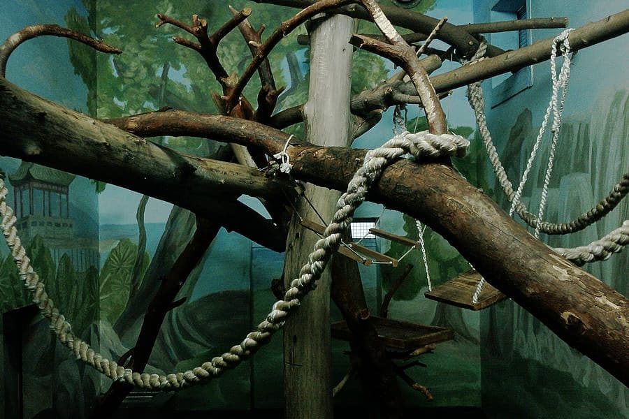 Не выходи из комнаты